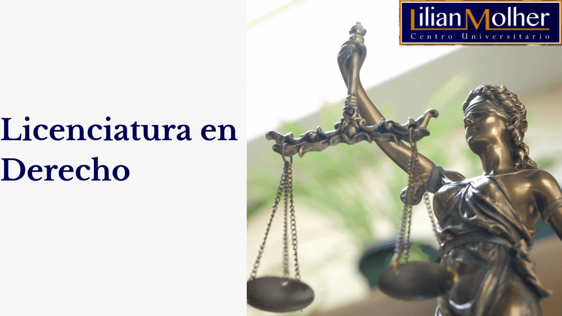 Licenciatura